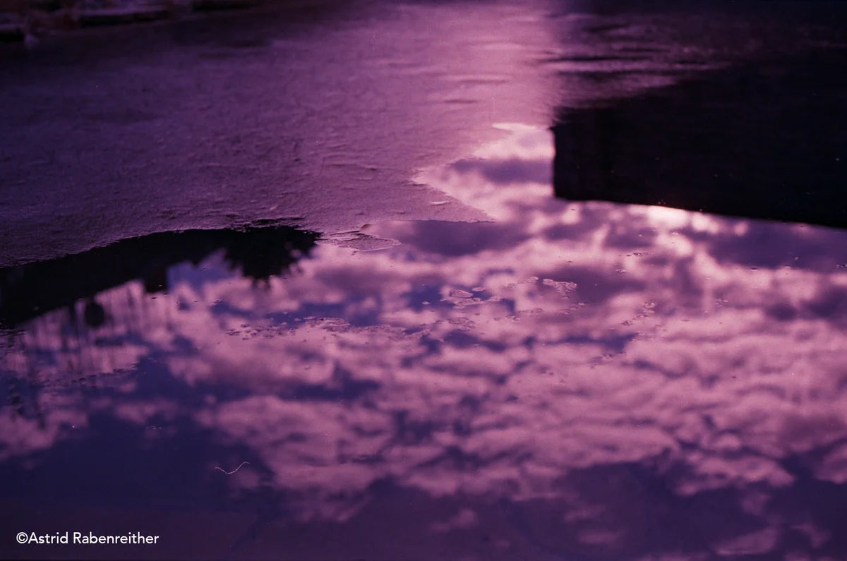 Dubblefilm Bubblegum EXP.36